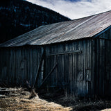 Barns_E100_D_a.jpg