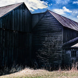 Barns_E100_D_b.jpg