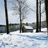 FarmBuildings_E100_Dynamic_b_8b3f9a2a-d03c-45f2-86a3-73767945cc88.jpg