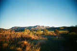 ULTRAMAX 400 Color Negative Film, 35mm