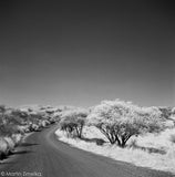 RolleiInfrared_Sample3.jpg